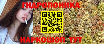 a pvp Старая Купавна
