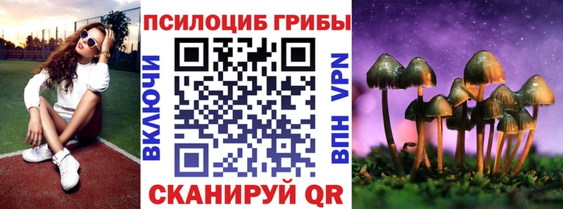 купить   Тосно  Псилоцибиновые грибы Cubensis 