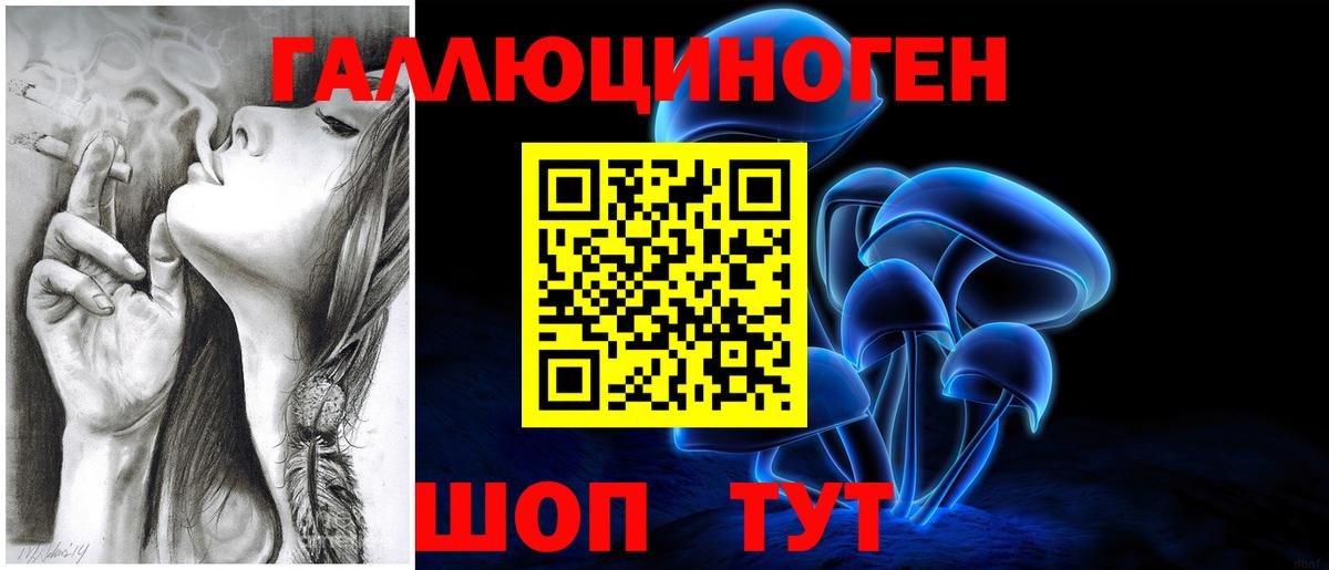 Тосно  Псилоцибиновые грибы Psilocybe  Вход с VPN 